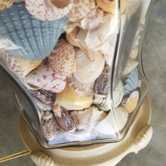 Shell-Filled Glass Table Lamp - Picture 4 of 6